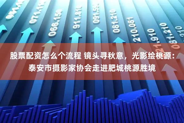 股票配资怎么个流程 镜头寻秋意，光影绘桃源：泰安市摄影家协会走进肥城桃源胜境