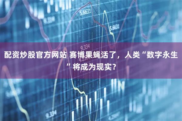 配资炒股官方网站 赛博果蝇活了，人类“数字永生”将成为现实？